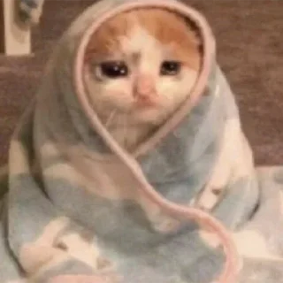 😭