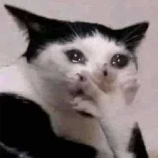 😢