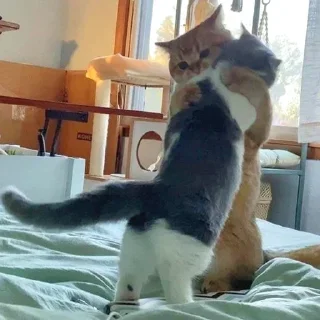 😌