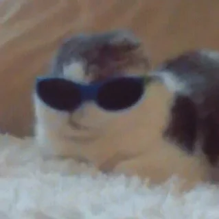 😎