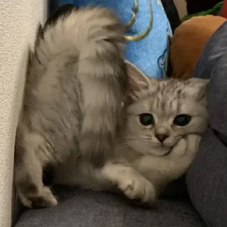 🤨