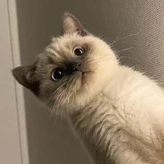 🤨