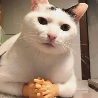 🤨