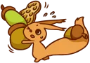 🌰