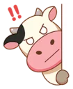 ‼