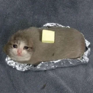 😭