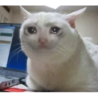 😭