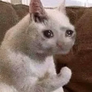 😭