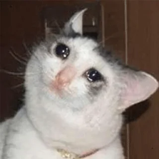 😭