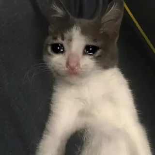 😭