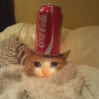 😭