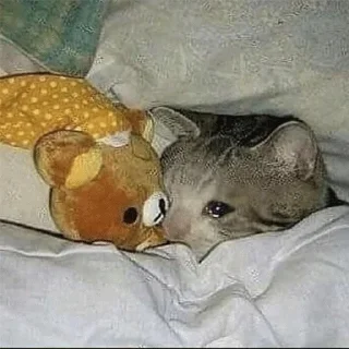 😭