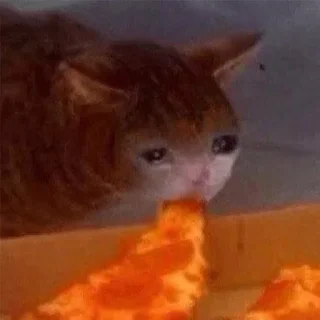 😭