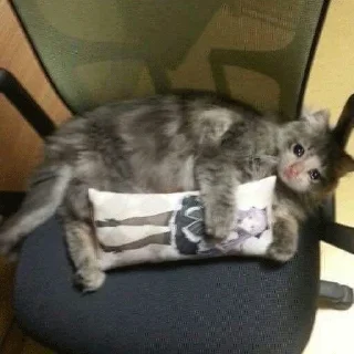 😭