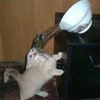 😭