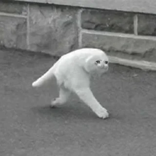 😭
