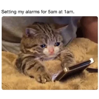 😭
