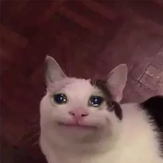 😭