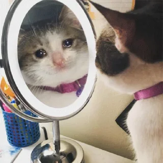 😭