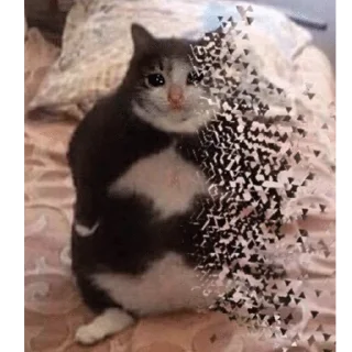 😭