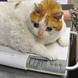 😭