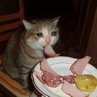 😭