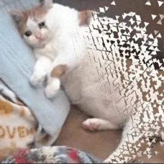 😭