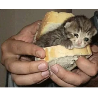 😭