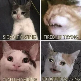 😭