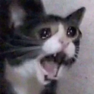 😭