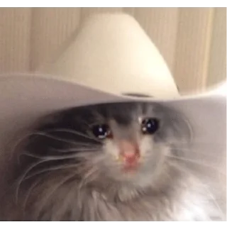 😭