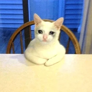 😭