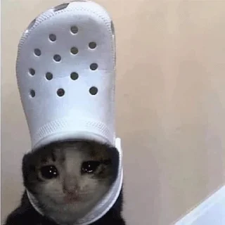 😭