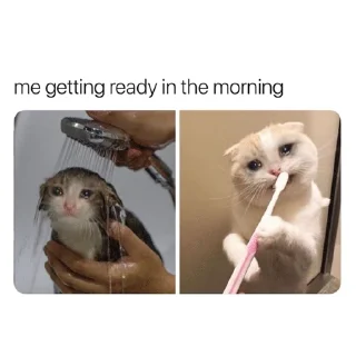 😭