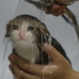 😭