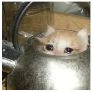 😭