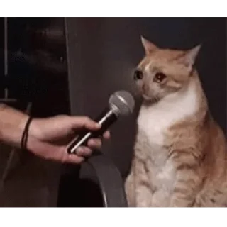 😭