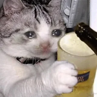 😭