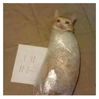 😭