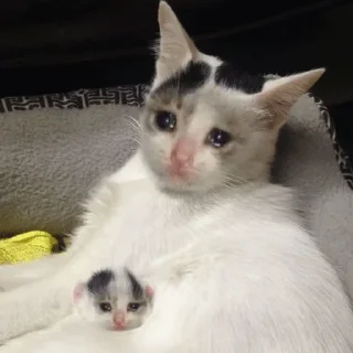 😭