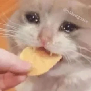 😭