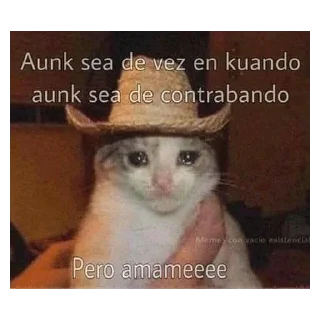 😭