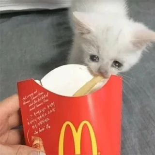 😭