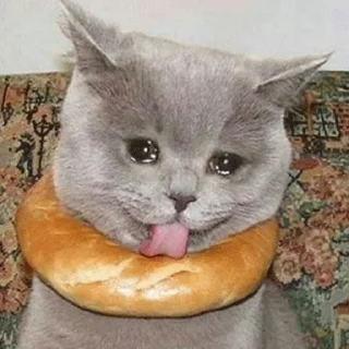 😭