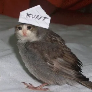 😭