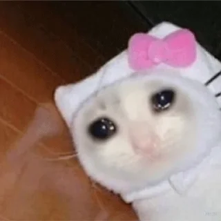 😭