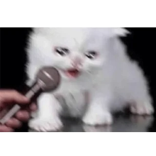 😭
