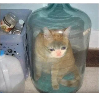 😭