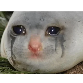😭