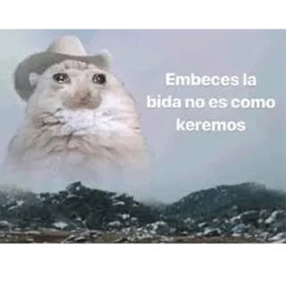 😭